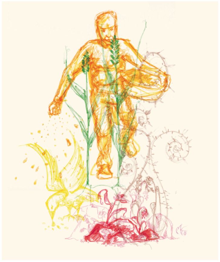 © Magdalena Büttner, Der Sämann Foto