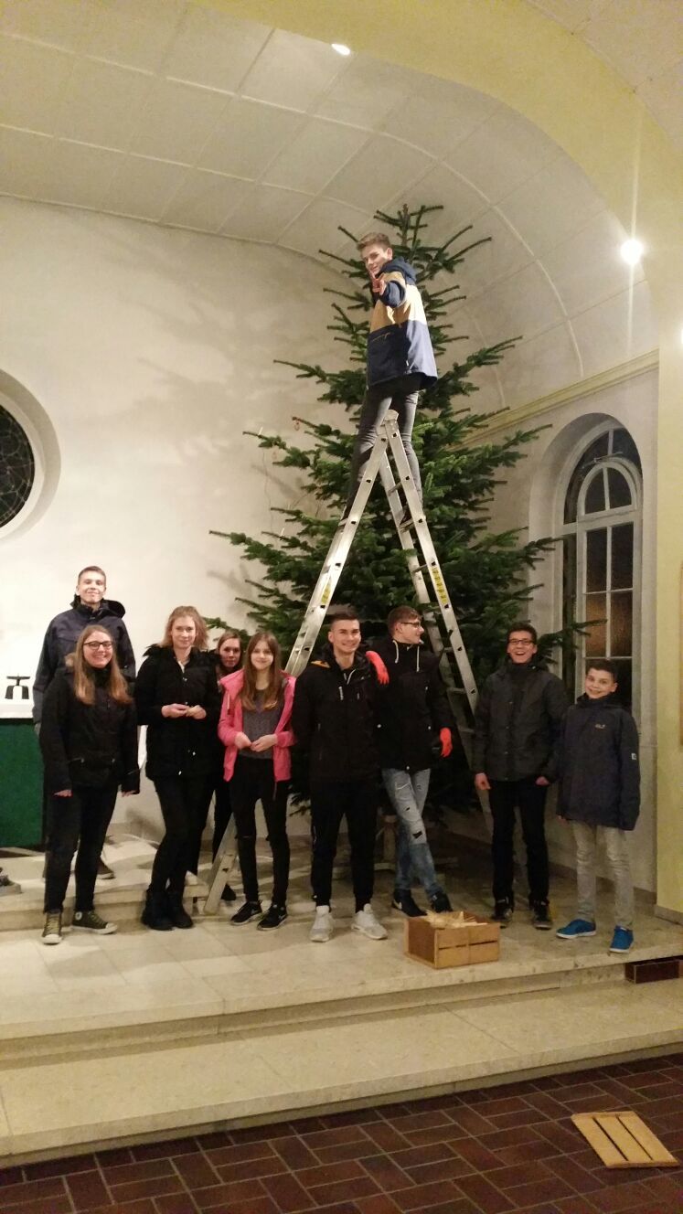 Tannenbaum-Abbau Foto